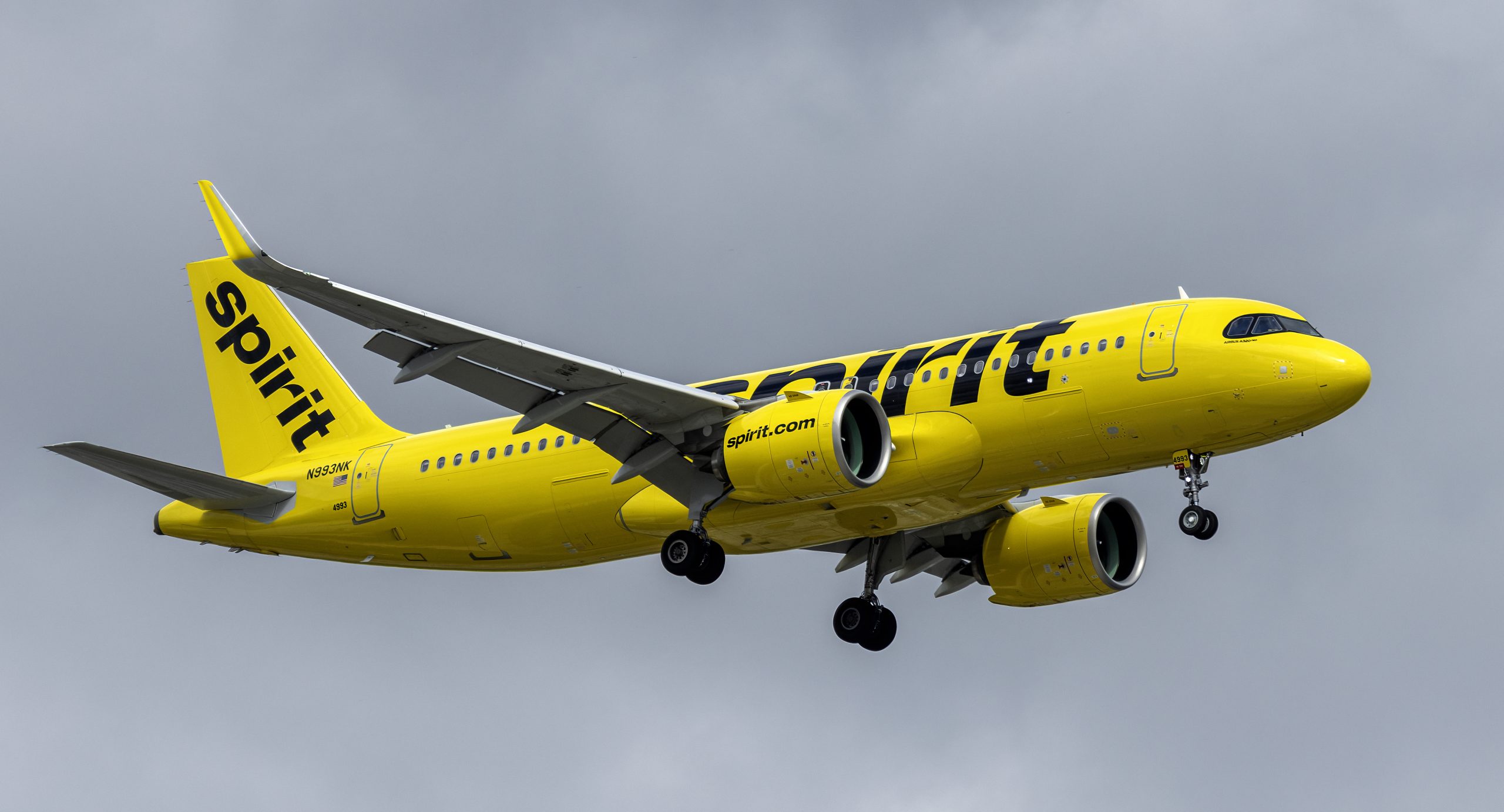 Spirit Airlines Campaign